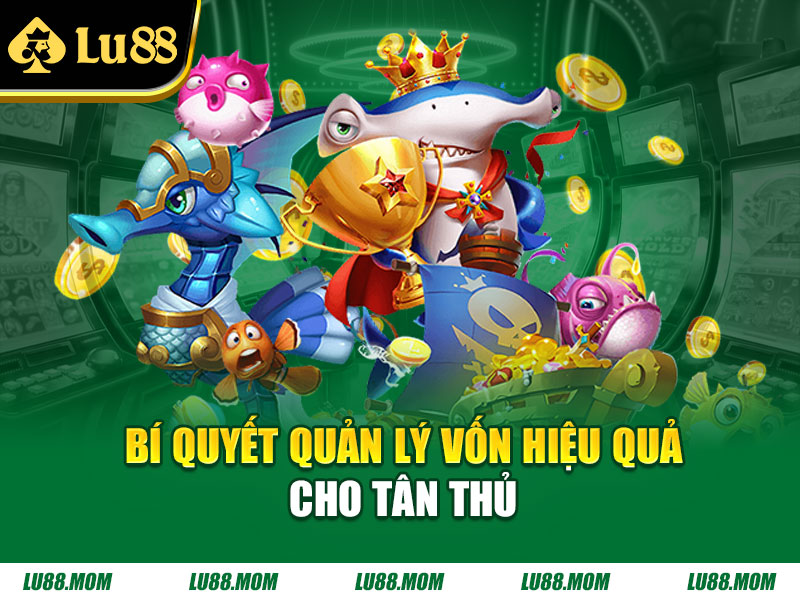 Bí quyết quản lý vốn hiệu quả cho tân thủ