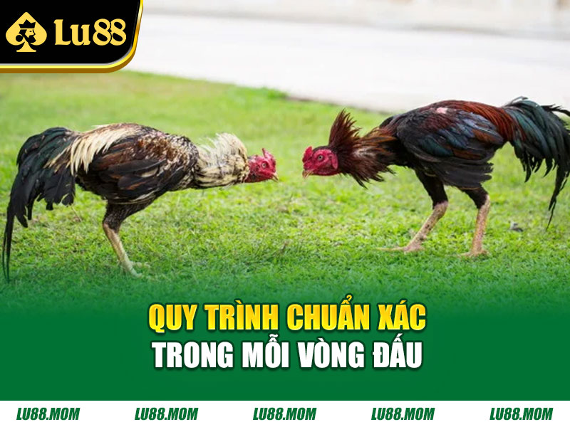 Quy trình chuẩn xác trong mỗi vòng đấu